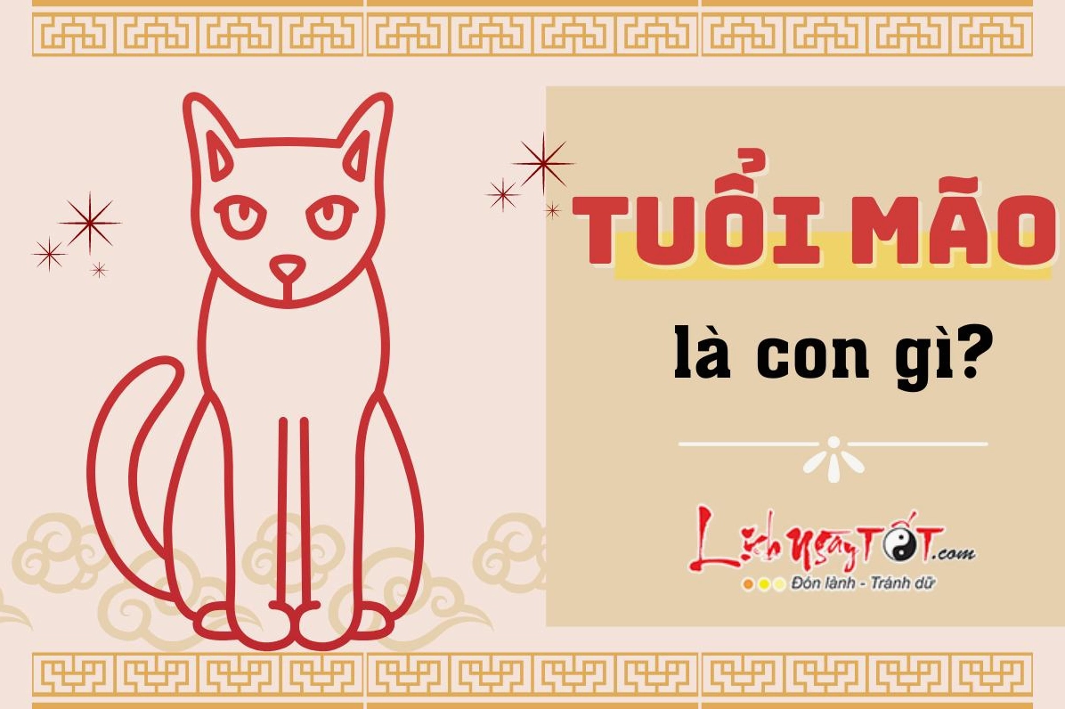 tuoi-mao-sinh-nam-bao-nhieu-giai-ma-chi-tiet-tu-a-z_778