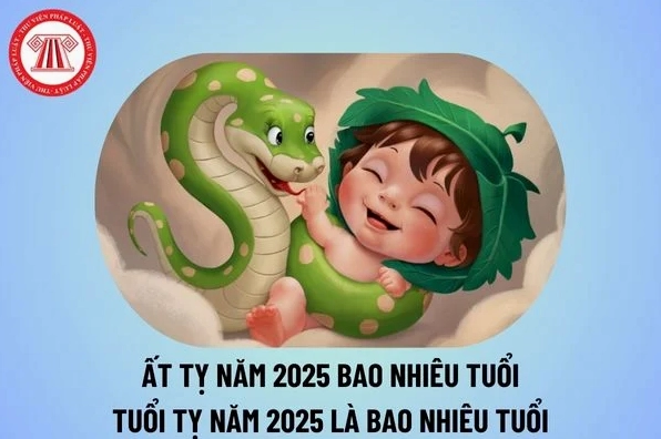 Tuổi Tỵ Sinh Năm Bao Nhiêu? Giải Mã Vận Mệnh Đinh Tỵ, Kỷ Tỵ, Tân Tỵ, Quý Tỵ, Ất Tỵ Tuổi Tỵ sinh năm bao nhiêu
