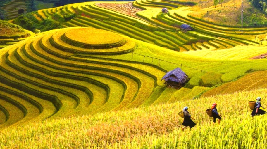 Đường lên Hoàng Su Phì qua những con đèo