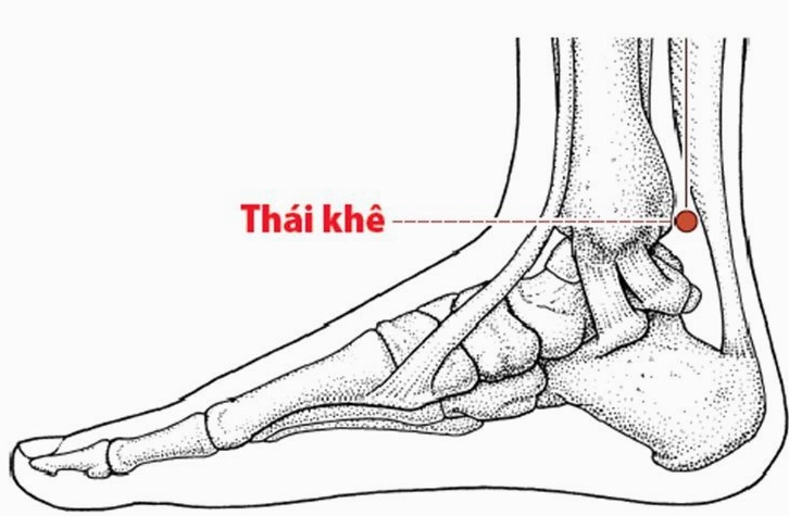 Huyệt Thái Khê: Bí ẩn và Công dụng Tăng cường Sức khỏe 2026 Vị trí huyệt Thái Khê trên bàn chân