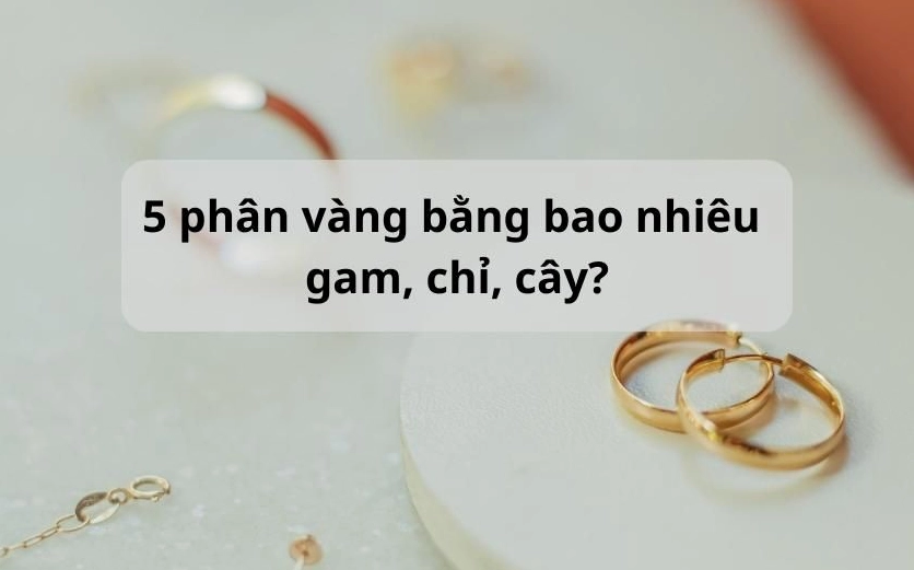 5-phan-vang-9999-bao-nhieu-tien-2026-cap-nhat-gia-moi-nhat_335