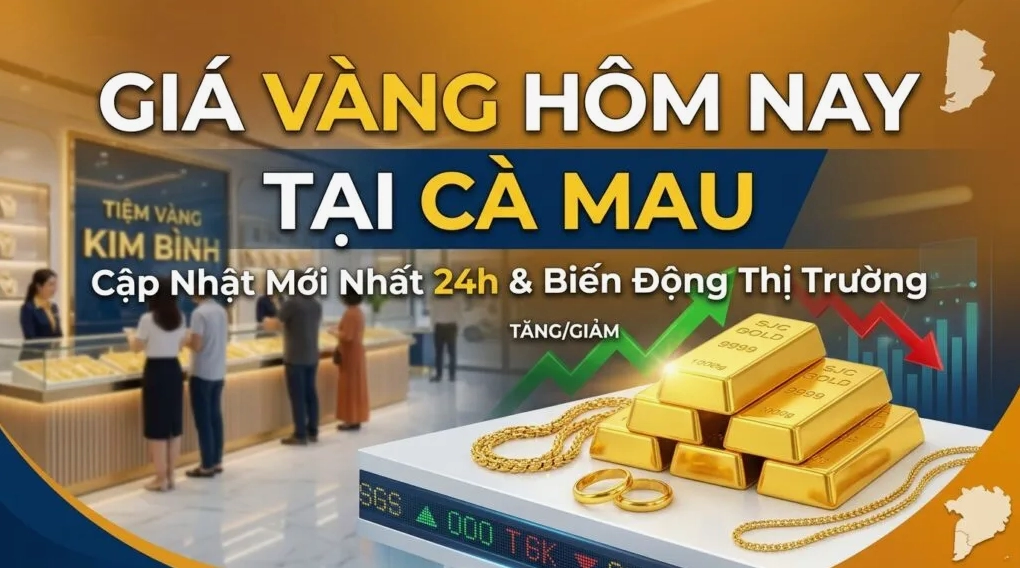 Giá Vàng Hôm Nay Tại Pleiku: Cập Nhật & Dự Báo 2026 Biểu đồ giá vàng SJC