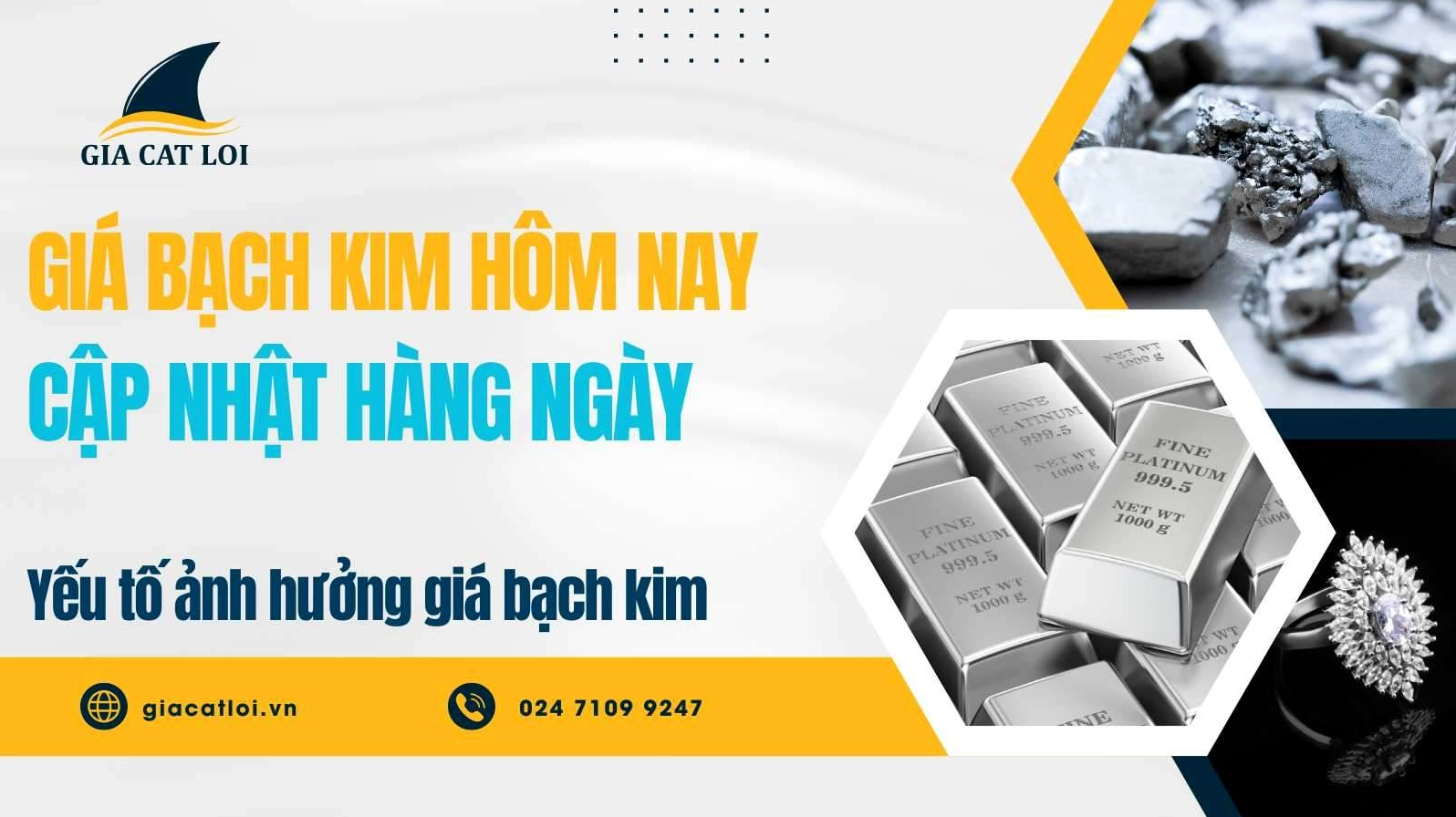 Giá Bạch Kim Hôm Nay Bao Nhiêu 1 Gam? Cập Nhật 2026 Biểu đồ so sánh giá bạch kim và vàng