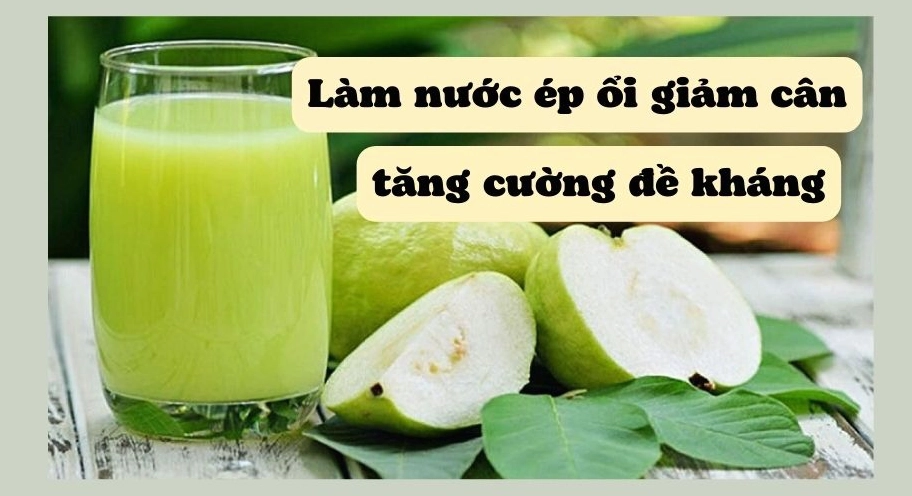 Uống Nước Ép Ổi Vào Lúc Nào Là Tốt Nhất Cho Sức Khỏe? Cách làm nước ép ổi ngon tại nhà