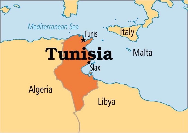Cánh đồng ô liu ở Tunisia