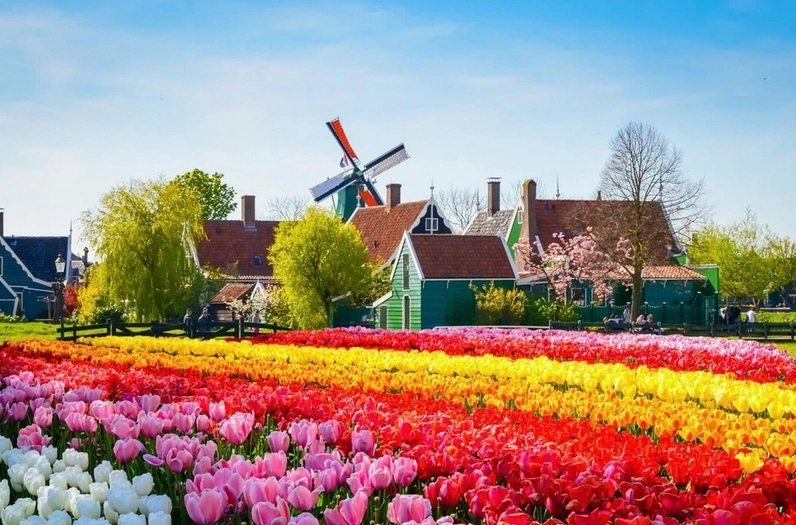 dutch-la-nuoc-nao-giai-ma-nguon-goc-va-y-nghia-moi-nguoi-can_613