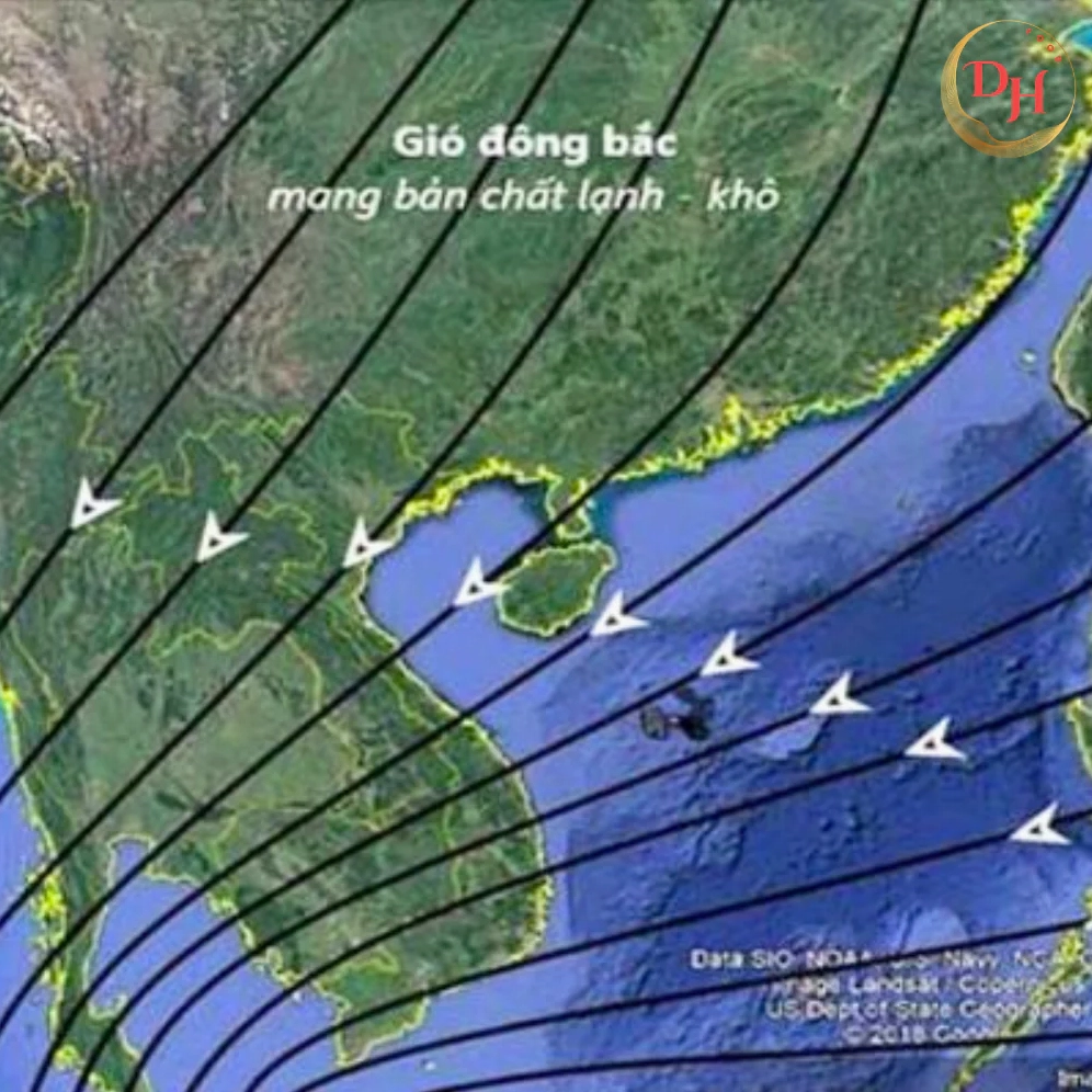 gio-mua-ong-bac-manh-nhat-o-au-viet-nam_760