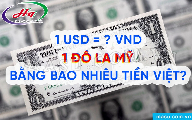 Hình ảnh các mệnh giá tiền Việt Nam và Đô la Mỹ