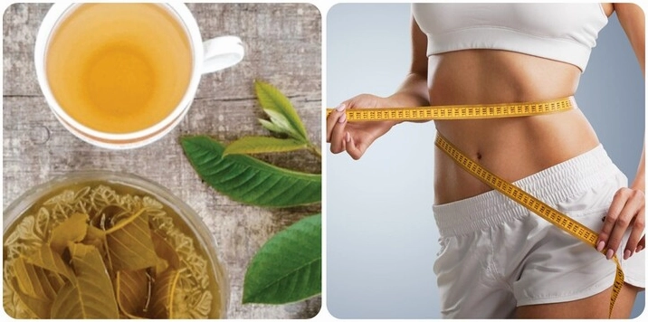 Hình ảnh minh họa về các loại lá cây tốt cho sức khỏe