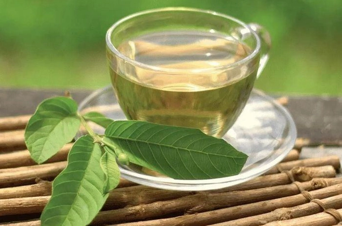 Lá ổi tươi và nước lá ổi