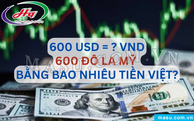 Minh họa quy đổi 600 đô la Mỹ sang tiền Việt