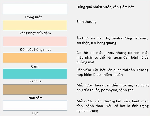 Nước Tiểu Như Thế Nào Là Bình Thường? Dấu Hiệu Cần Quan Tâm Độ đục của nước tiểu