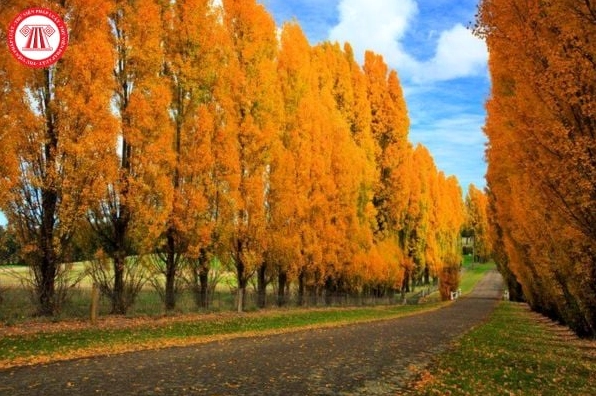 Thủ đô Moscow hiện đại
