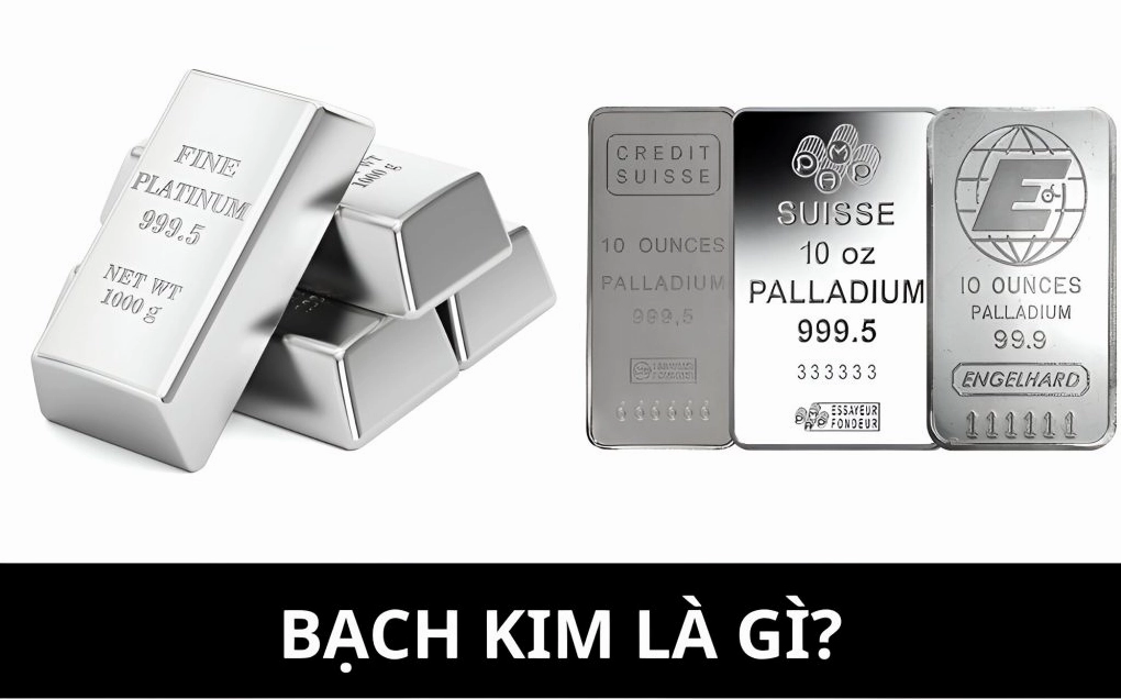 Tìm hiểu về bạch kim