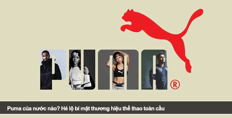 Puma của nước nào? Hé lộ nguồn gốc và lịch sử thương hiệu thể thao Trang phục Puma năng động