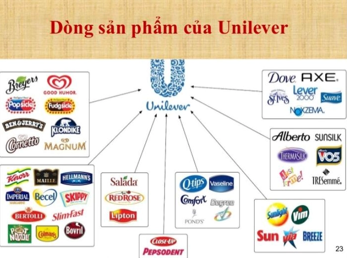 unilever-cua-nuoc-nao-hanh-trinh-tro-thanh-tap-oan-a-quoc-gi_661