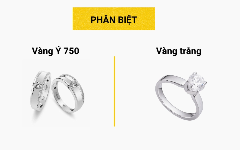 Giá Vàng Ý 750: Cập Nhật 2026 & Phân Tích Đầu Tư Vàng Ý 750 có hàm lượng vàng 75%