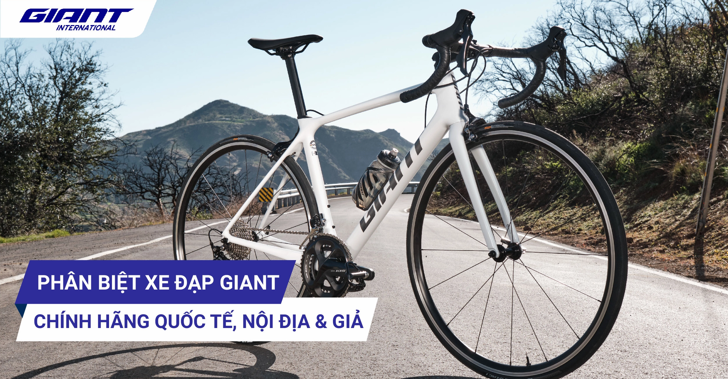 Xe Đạp Giant Của Nước Nào? Hé Lộ Nguồn Gốc Bất Ngờ Xe đạp địa hình Giant - Chinh phục mọi thử thách